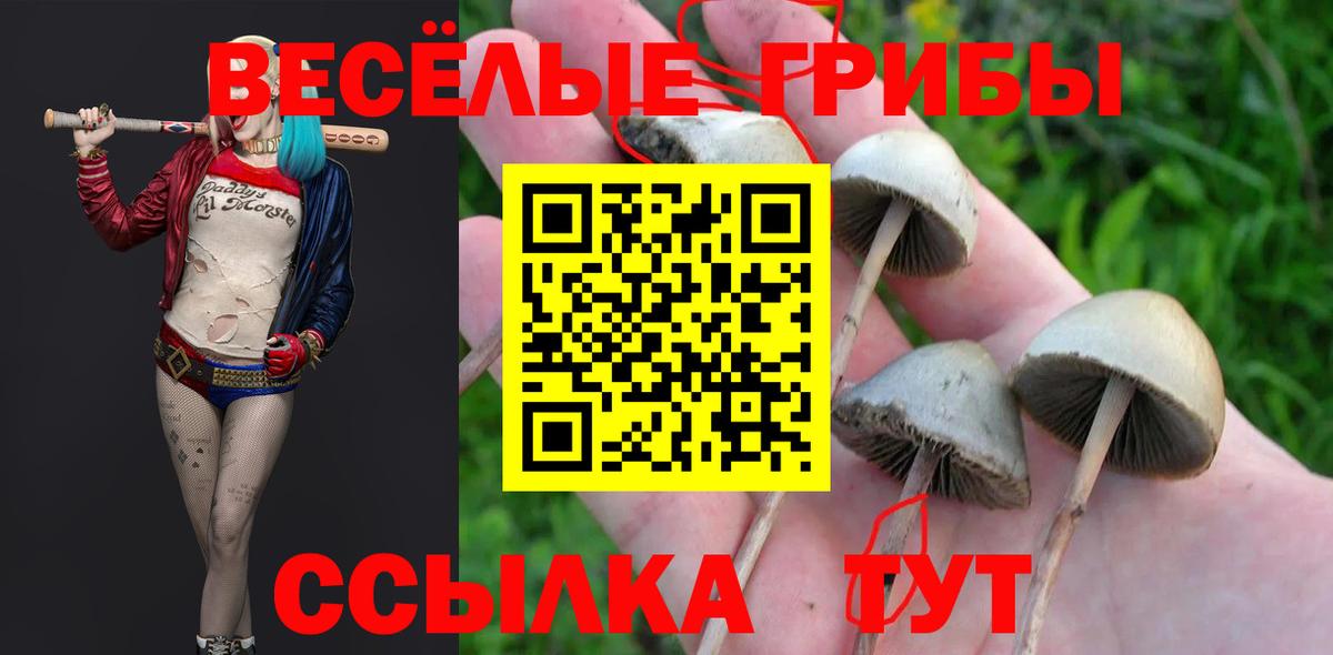 Кинешма  Псилоцибиновые грибы Magic Shrooms  Вход с VPN  Псилоцибиновые грибы мухоморы 